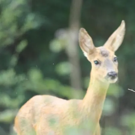 Yourte Prázdninový dům Aouste-sur-Sye